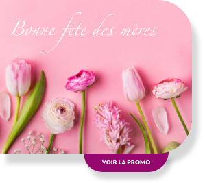 Promo liv beauté & spa